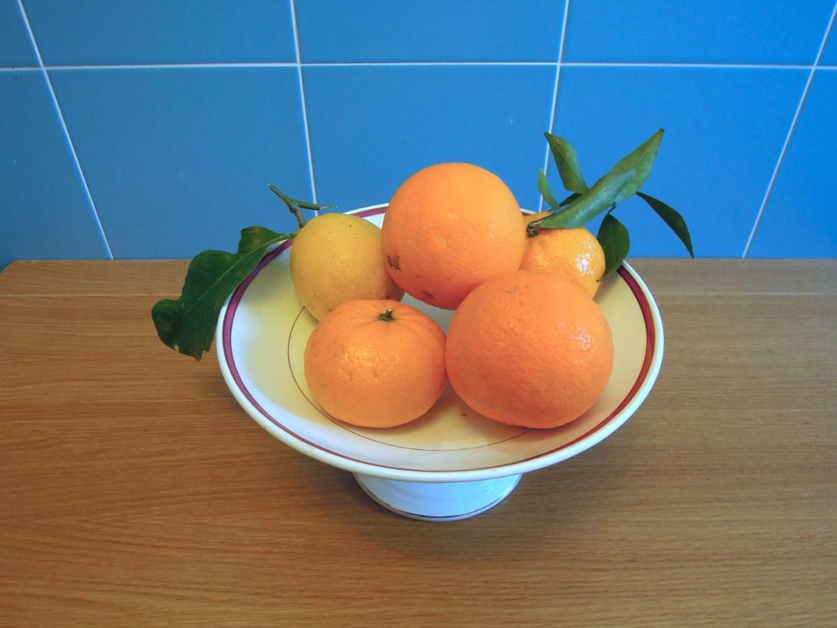 Casa De Angelis Orange & Blue Διαμέρισμα Sant'Agnello Εξωτερικό φωτογραφία